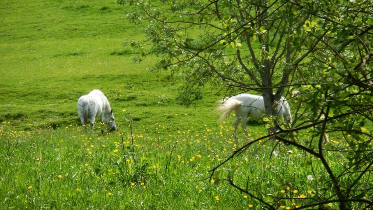 Appaloosa Villa Lormes Eksteriør bilde